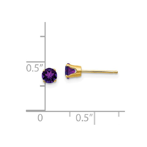 14K Yellow Gold Amethyst Birthstone Earrings