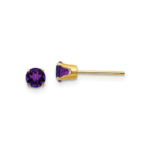 14K Yellow Gold Amethyst Birthstone Earrings