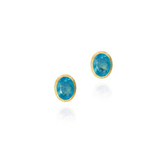 Sterling Silver Vermeil Turquoise Earrings